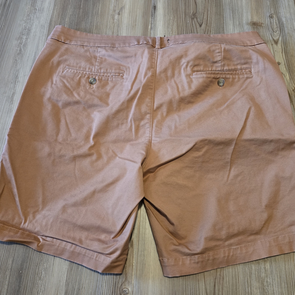 Rust Color Shorts - Picture 2 of 4